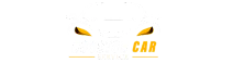 houston car service logo