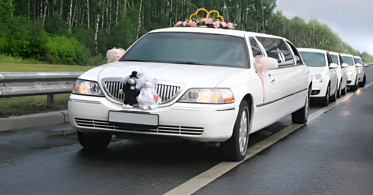 Comprehensive Wedding Transportation Services