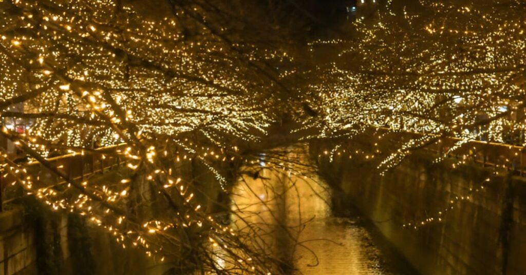 1. River Oaks Christmas Lights