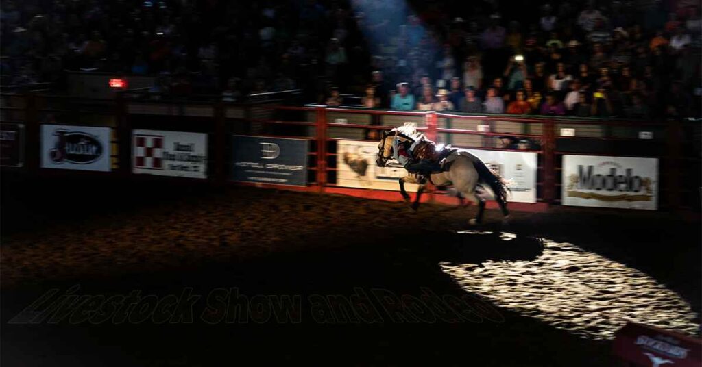 Houston Livestock Show and Rodeo