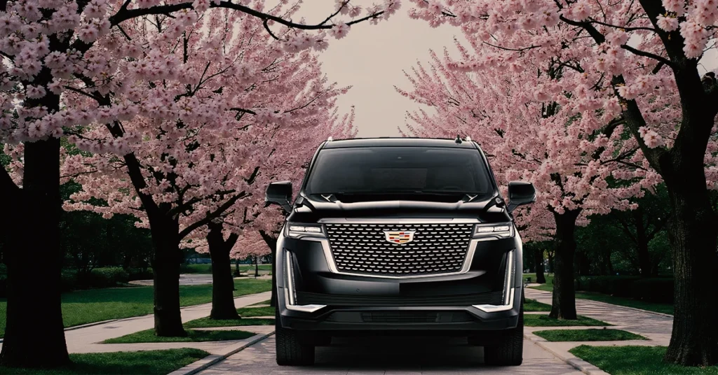 Limousine Service Magnolia Park