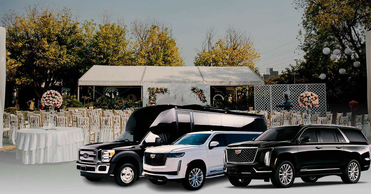 Best Luxury Wedding Transportation Services in Houston