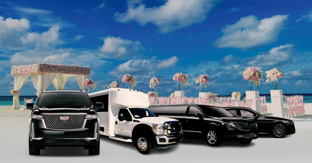 How to Choose the Right Wedding Transportation Services