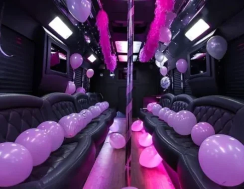 Birthday party bus houston tx